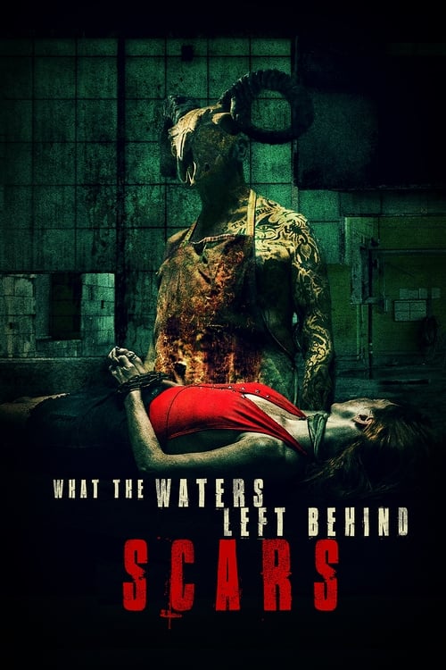 دانلود فیلم What the Waters Left Behind: Scars آنچه آب ها پشت سر گذاشتند: زخم ها